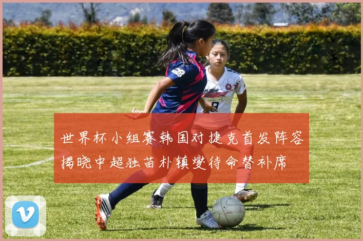 世界杯小组赛韩国对捷克首发阵容揭晓中超独苗朴镇燮待命替补席